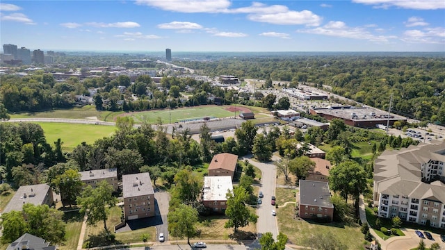 bird's eye view