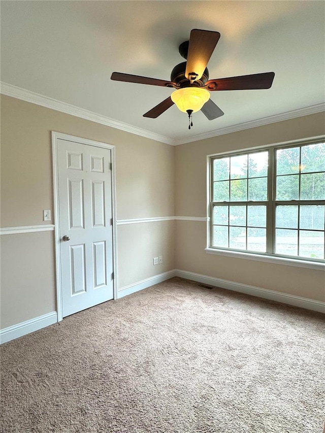 spare room with ceiling fan, ornamental molding, and carpet