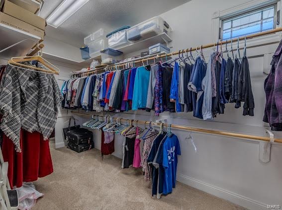 spacious closet with light carpet