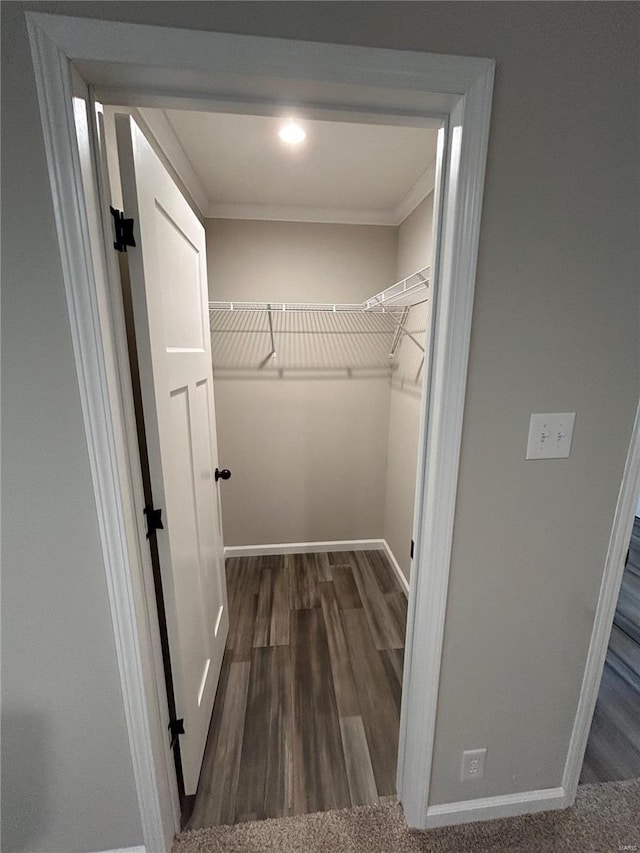 walk in closet featuring dark hardwood / wood-style flooring