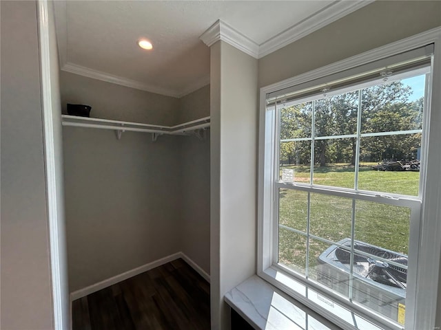 walk in closet featuring hardwood / wood-style flooring