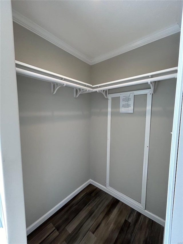 walk in closet featuring dark wood-type flooring