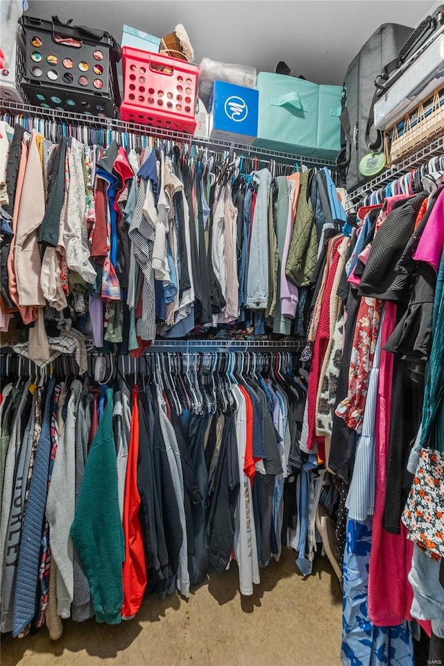 spacious closet featuring carpet