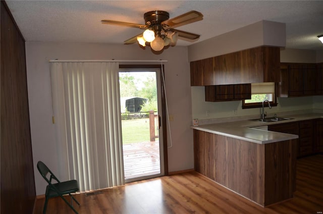 kitchen featuring ceiling fan, sink, kitchen peninsula, a textured ceiling, and light hardwood / wood-style floors