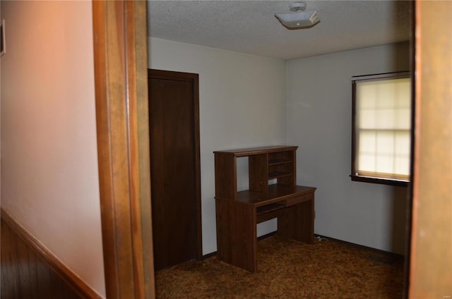 interior space with carpet floors and a textured ceiling