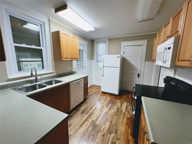 kitchen featuring crown molding, sink, white appliances, and hardwood / wood-style flooring