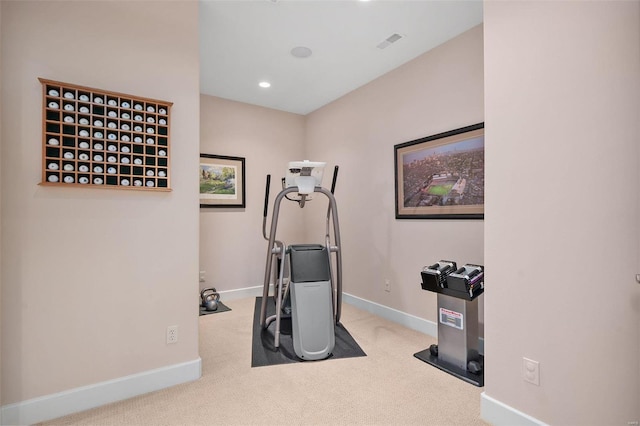 exercise area featuring carpet