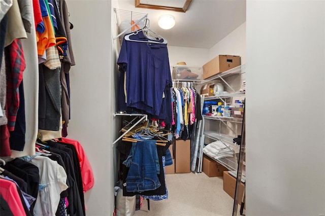 spacious closet featuring light colored carpet