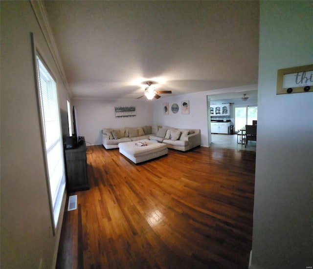 living room with ceiling fan, crown molding, and dark hardwood / wood-style flooring