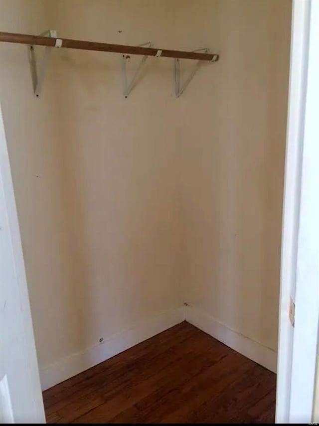 walk in closet featuring dark hardwood / wood-style floors