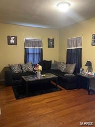 living room featuring hardwood / wood-style floors