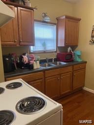 kitchen with ventilation hood, sink, dark wood-type flooring, and white electric stove