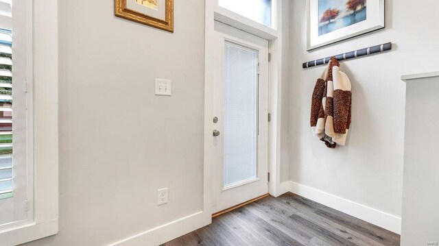 foyer with hardwood / wood-style floors