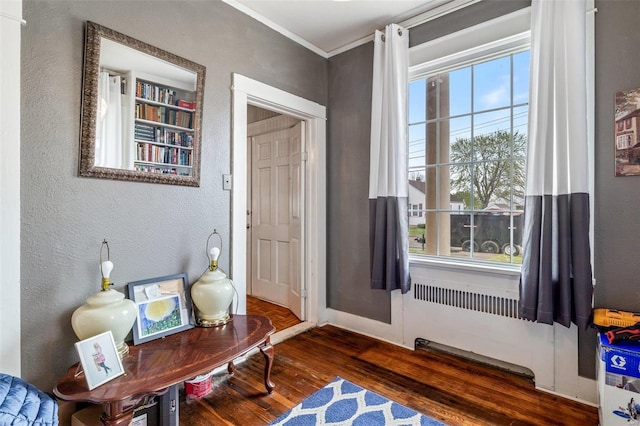 interior space featuring crown molding, dark hardwood / wood-style floors, and radiator heating unit