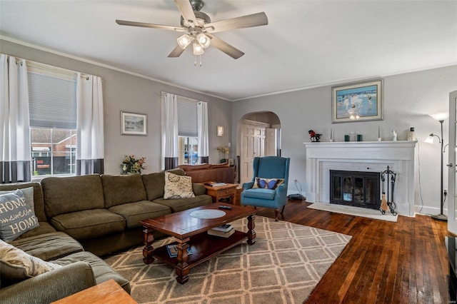 living room featuring ceiling fan, a fireplace, crown molding, and dark hardwood / wood-style flooring