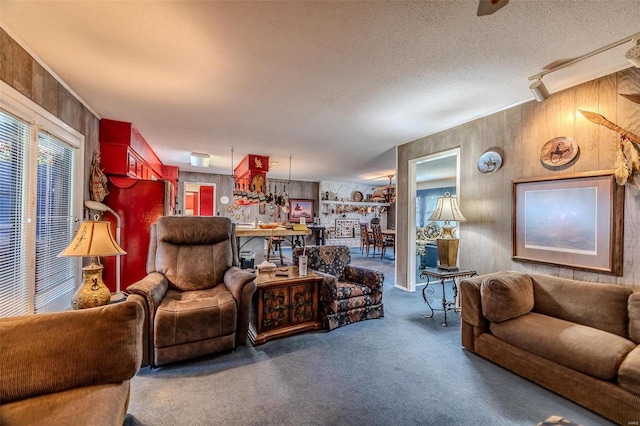 carpeted living room with a textured ceiling and wooden walls