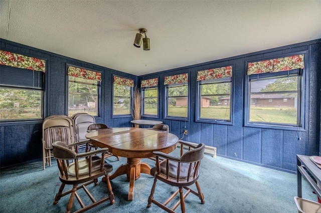 dining space featuring a textured ceiling, baseboard heating, and carpet flooring