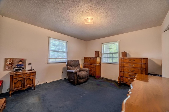 sitting room with a textured ceiling and dark colored carpet