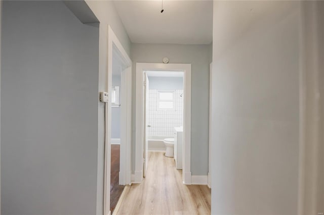 corridor featuring light hardwood / wood-style floors