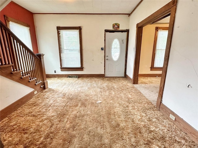 carpeted foyer featuring ornamental molding and plenty of natural light