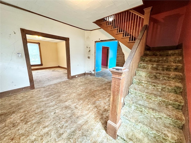 stairway with carpet