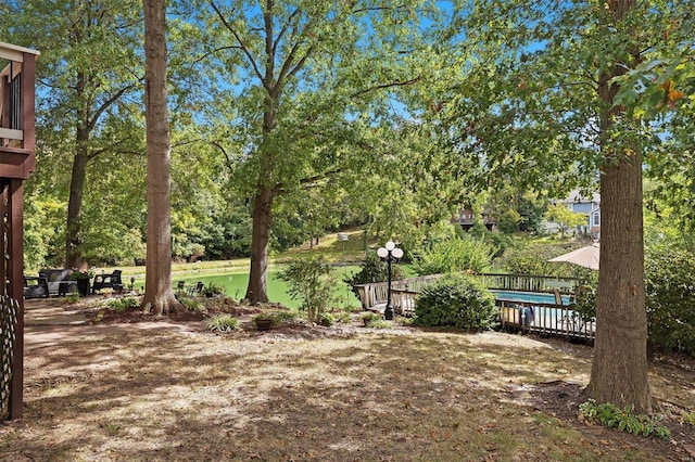 view of yard with a swimming pool