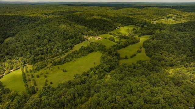 aerial view