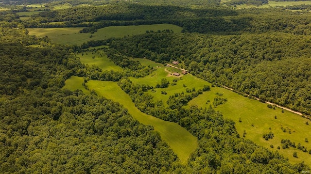 bird's eye view