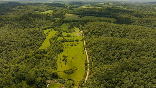 bird's eye view