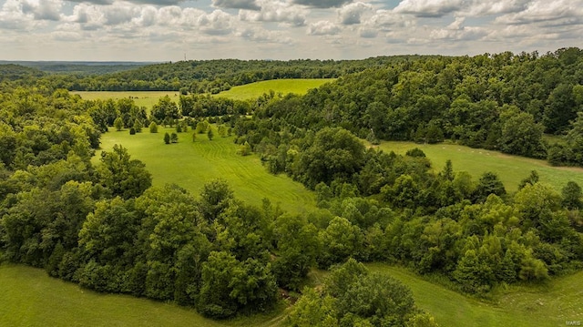 birds eye view of property with a rural view