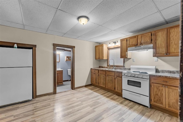 kitchen with light hardwood / wood-style flooring, white appliances, sink, and a paneled ceiling