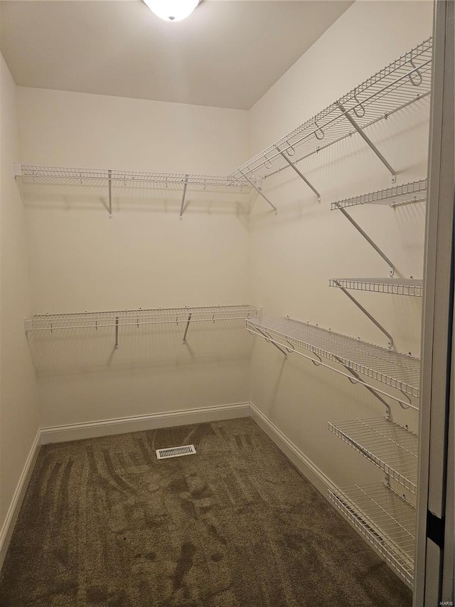 walk in closet with carpet flooring