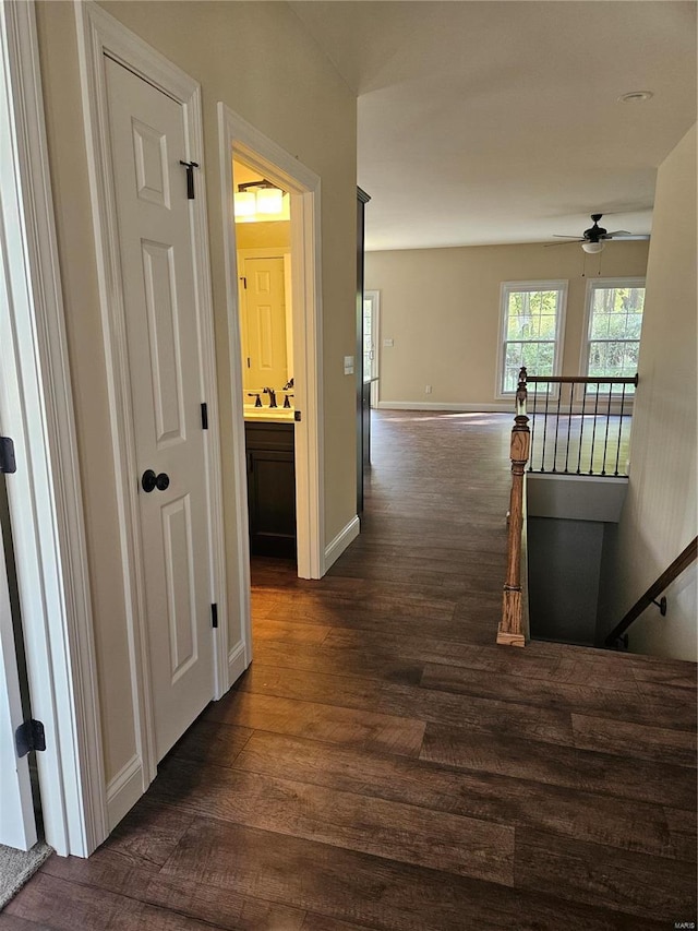 corridor featuring dark hardwood / wood-style floors and sink