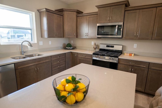 kitchen with dark brown cabinetry, stainless steel appliances, and sink