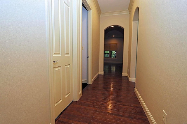 hall with ornamental molding and dark hardwood / wood-style flooring