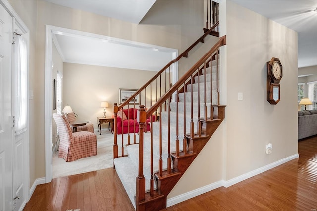 staircase with wood-type flooring