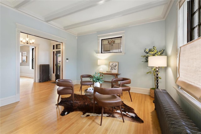 living area with beam ceiling, light hardwood / wood-style floors, radiator, and ornamental molding