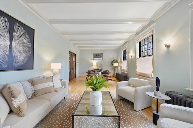 living room featuring beam ceiling, radiator, and light hardwood / wood-style floors