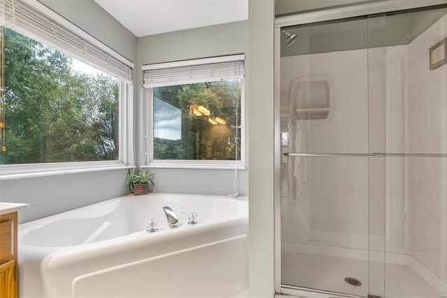 bathroom with vanity and separate shower and tub