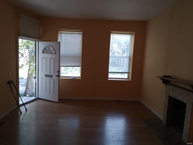 entryway with wood finished floors, baseboards, and a wealth of natural light