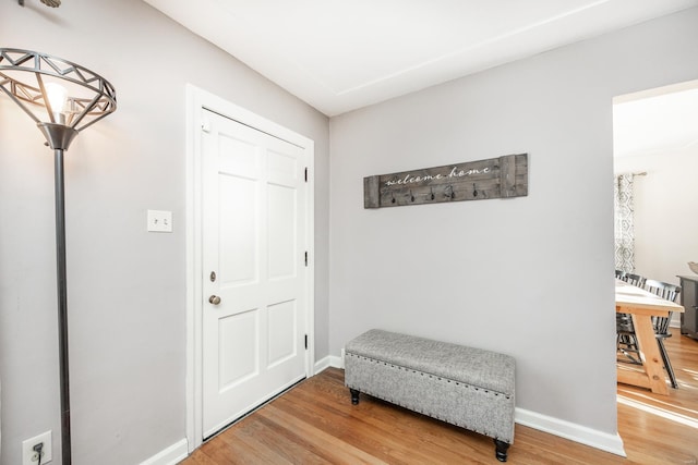 entrance foyer with hardwood / wood-style floors