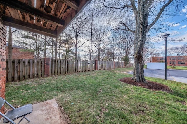 view of yard with a patio area