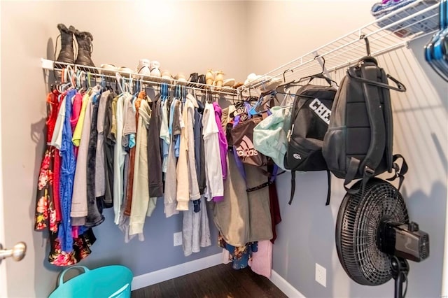 spacious closet featuring dark hardwood / wood-style floors