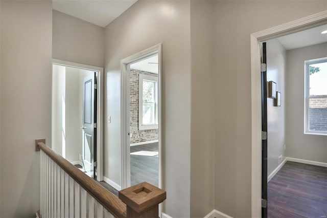 hallway with dark hardwood / wood-style flooring