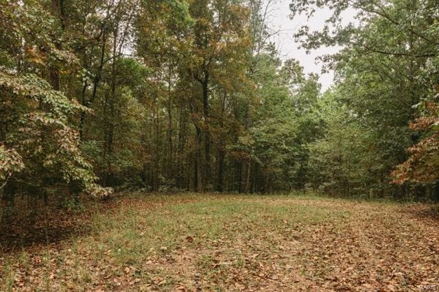 Listing photo 3 for 0 County Road 417, Ellington MO 63638