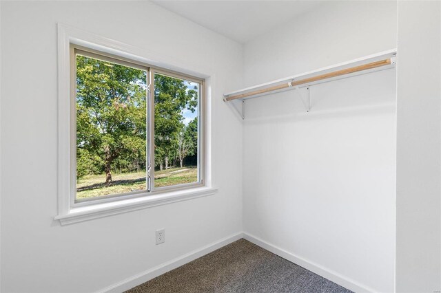 spacious closet featuring carpet