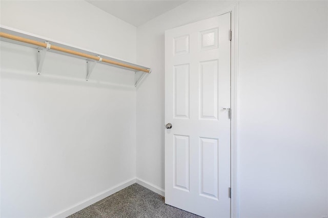 walk in closet with carpet floors