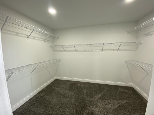 spacious closet featuring carpet flooring