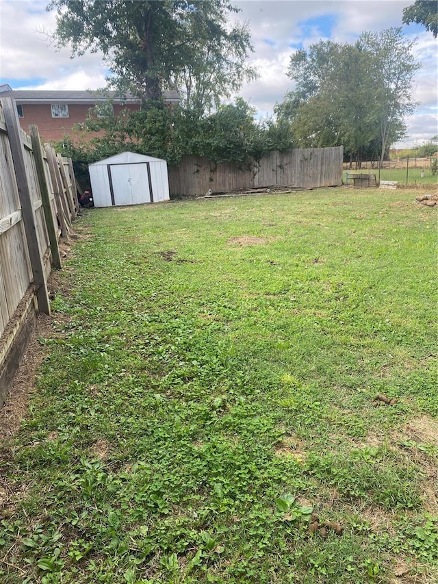 view of yard featuring a storage shed