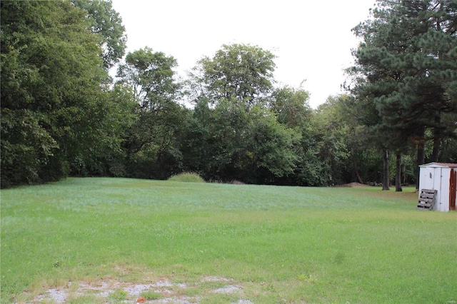 view of yard with a storage unit